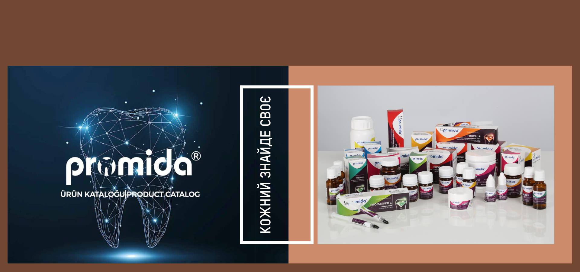 Slide 11